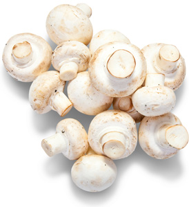 Champignons