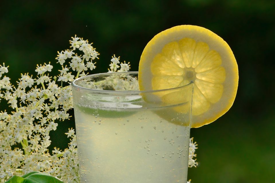 Hollunderlimonade