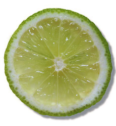 Limette