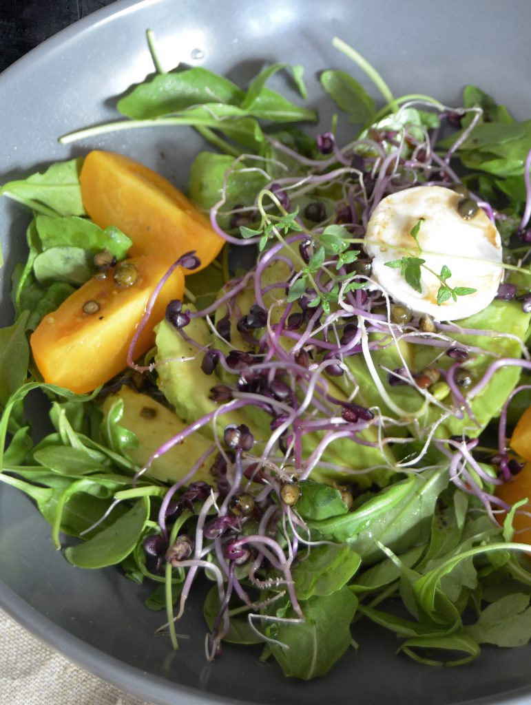 Rucola mit Avocado und Sprossen